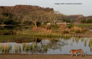 Ranthambhore